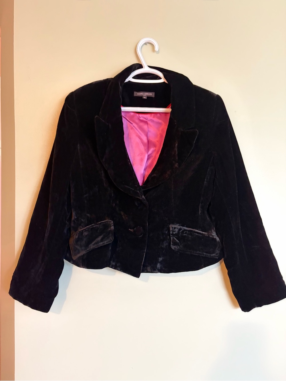 Mario Serrani Italy Black Velvet Blazer Jacket 10 Dark Academia Cropped Gothcore